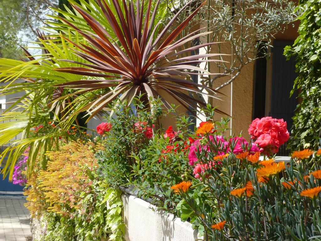 Hotel Mistral Mas-Blanc-des-Alpilles Exterior foto
